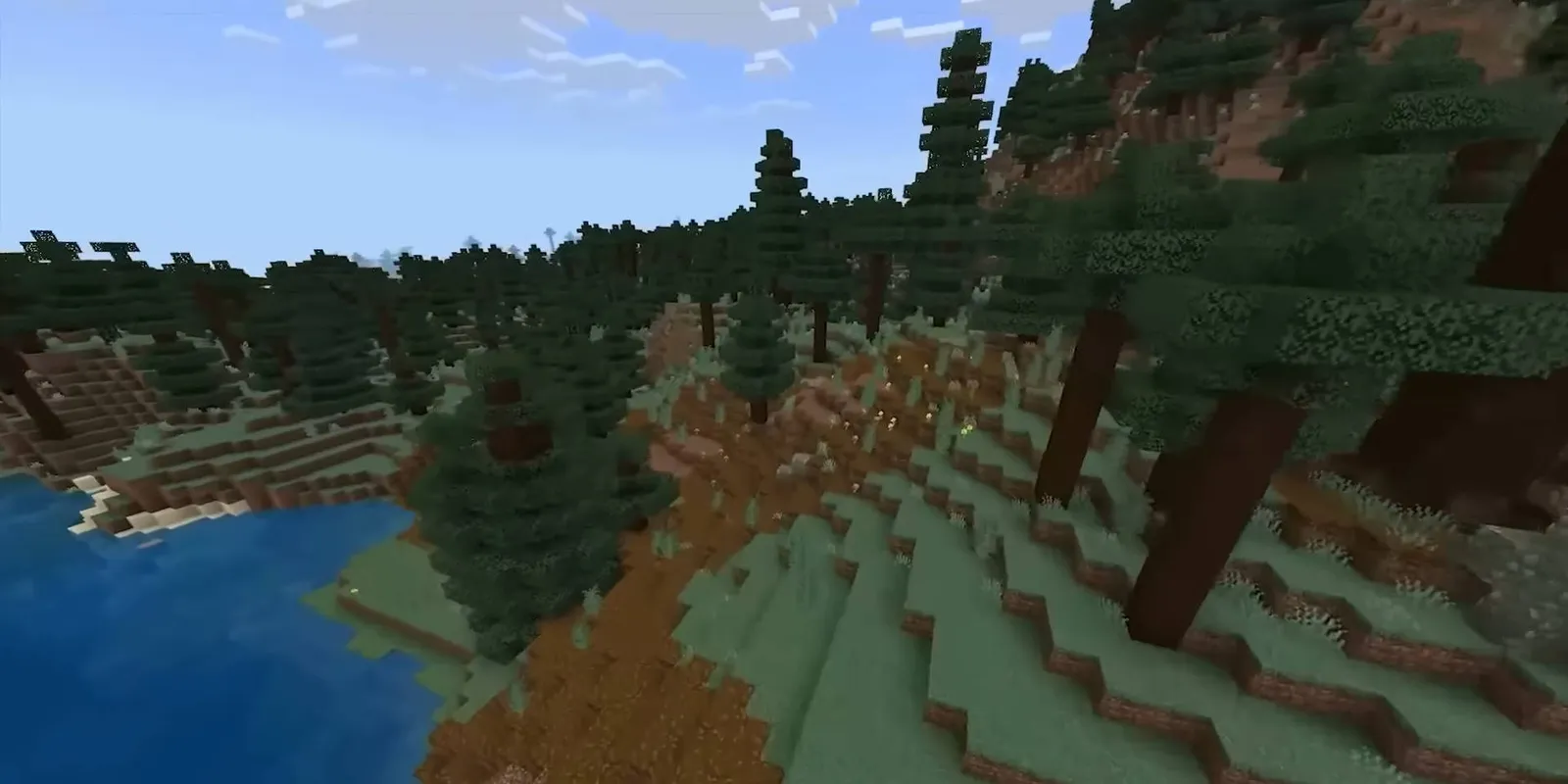 Peisaj din Minecraft: pădure de taiga pe malul unui lac
